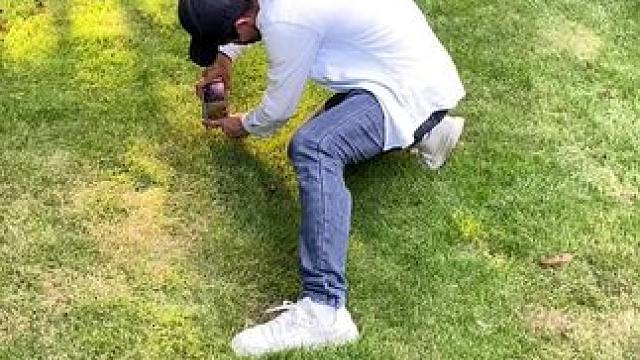 “露从今夜白，夜自此日凉，今日白露，天气转凉，莫忘添衣，也愿这个秋日静好，收货满满。”白露节气试试这