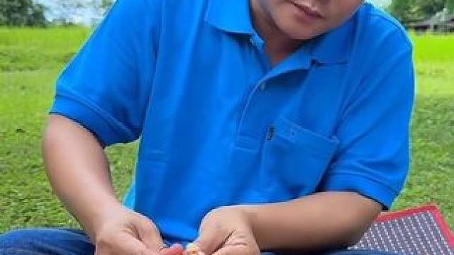 泰国️苦辣凉拌牛肚教程 #淳朴的山里人 #泰国大叔#泰国美食#内容启发搜索 #种草激励计划