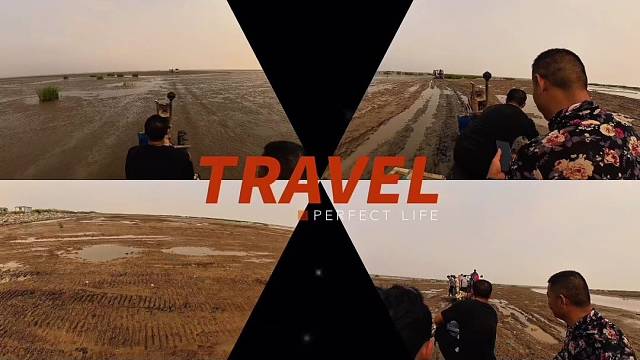 带你去看不一样的海、梭子蟹