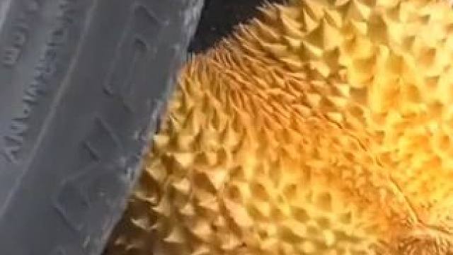 #无限回购的宝藏单品