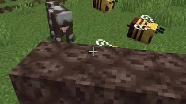 我的世界：凋零VS蜜蜂#我的世界#mc不灭#mc