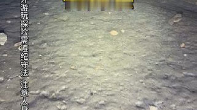 不要以为秋天了辣条就变少了，其实这个季节才是最活跃的#户外 #意不意外 #不可思议