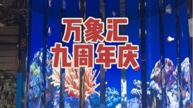 丰禾会，大渔铁板烧等半价抢购啦！#日照万象汇#日照万象汇9周年 #9有好故事