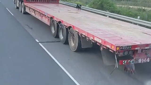 为什么在封闭的车厢里蹦一下，能落在原地，在这个板车上面，为什么不行！