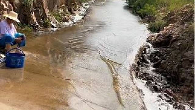 孤单，是一个人的狂欢。狂欢是一群人的孤单。 #大山深处自然美山清水秀好风光 
#天然氧吧 #好山好水