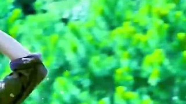 #西瓜视频   可看完整版 大结局太精彩了...《西瓜视频》，观看精彩后续《西瓜视频》，观看精彩后续