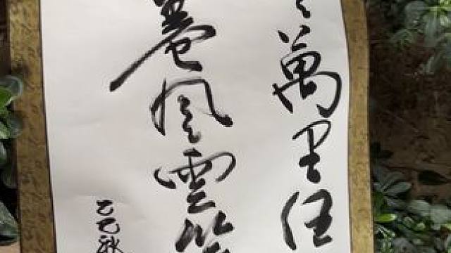 沈巍书法 # 沈巍书法#我要当同城红人 #民间艺术传承 #高手在民间 #热门