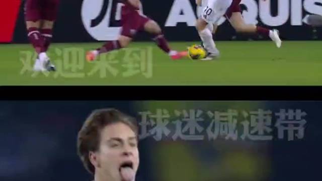 欢迎来到，属于蒂尼的球迷减速带