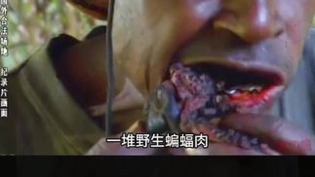 你敢吃吗？ #纪录片 #原始部落