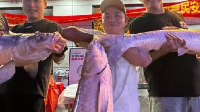 钓鱼换万物武汉篇：两条50+巨青交换东北烧烤，老板太性情吃不完当场分鱼...