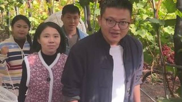 从采摘到打包发货的整个过程 采摘-筛选-运至仓库-再次筛选称重-打包-装箱上车#优质农产品