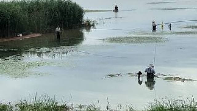 户外钓鱼，还有啥理由不出来快乐的钓鱼呢？#钓鱼#钓鱼的乐趣只有钓鱼人懂