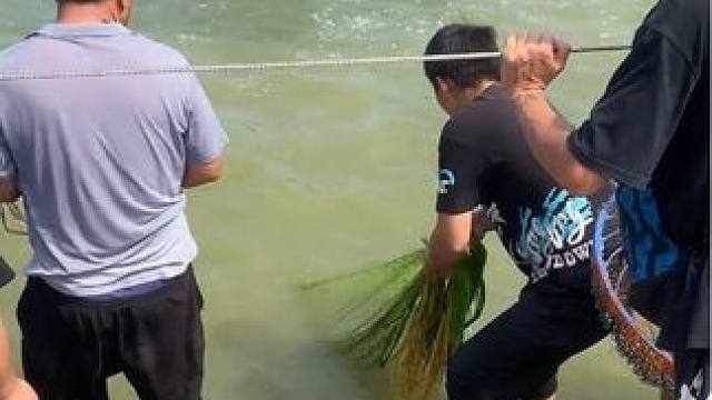 这才是老百姓最喜欢的生活，还有什么理由不出来捉鱼呢？#撒网#捉鱼