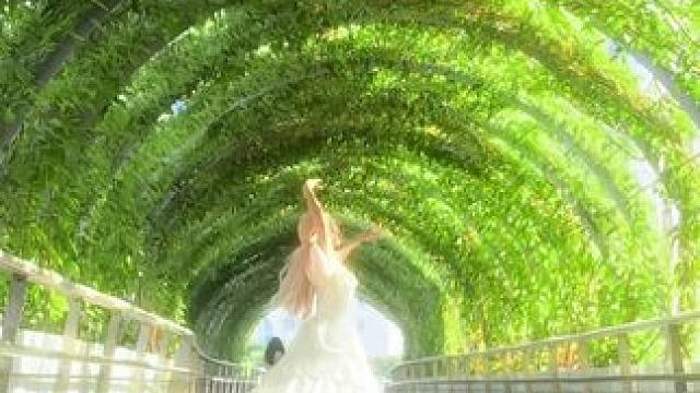 追逐正在逃跑的夏天#舞蹈 #转场 #氛围感