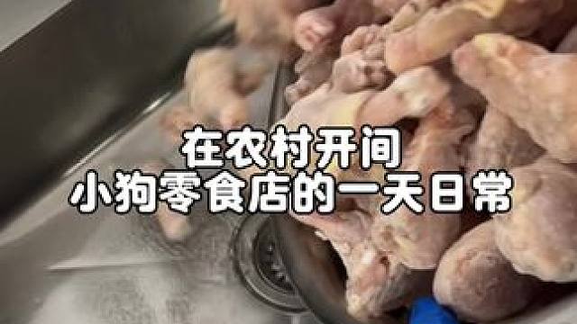 在农村开间小狗零食店的一天日常#vlog日常