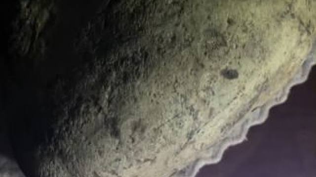 我发布了一个新视频，快来围观吧！