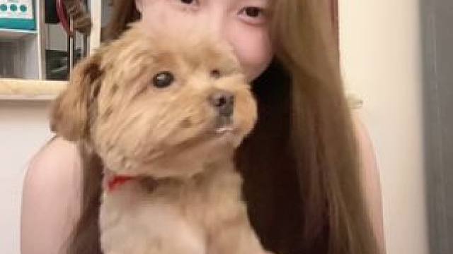 #哪种猴子可以私人养 #我和我的狗 #恶犬出没 #honeyhoney #小土豆