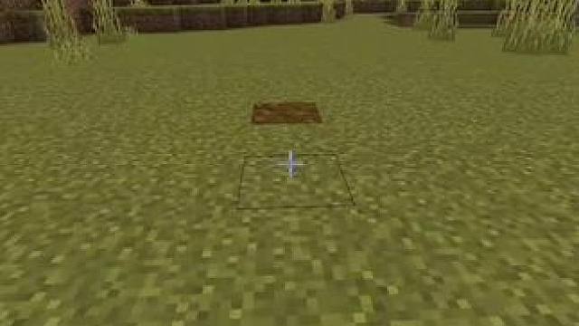 #我的世界 #MC 小时你看教程建的房子：#生存 #mc不灭