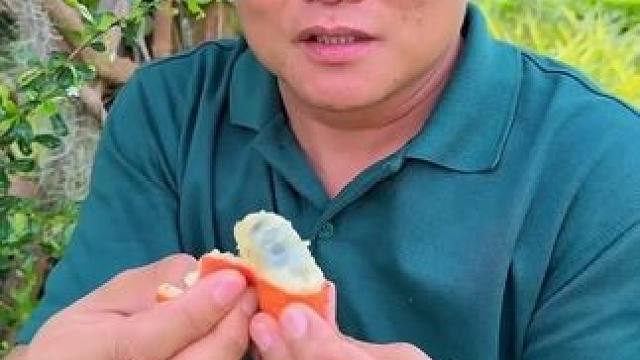 看我发现了什么 #我的乡村生活 #泰国大叔#泰国美食#内容启发搜索 #种草激励计划