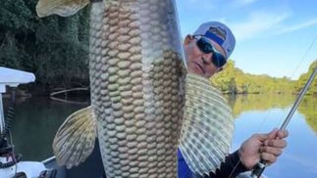 老哥钓到一条马托格罗索巨牙鱼 #国外视频分享 #好大一条鱼 #钓鱼的