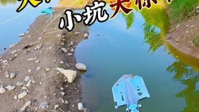 大河小坑大惊喜 #抽水#抓鱼#户外抽水#老坛甜薯 #聚鱼多