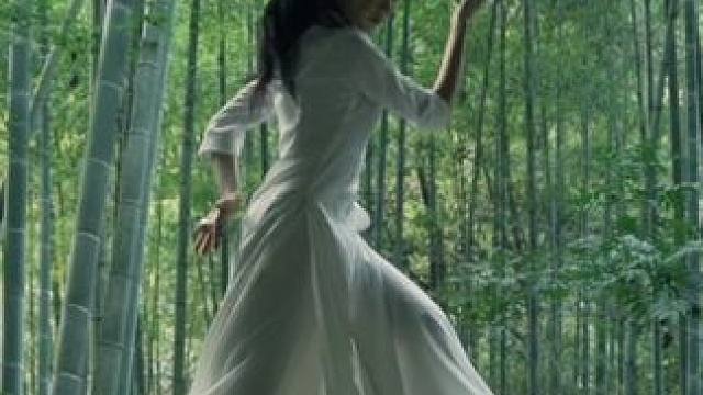 竹魂 #东方美学 #竹林 #舞蹈 #即兴