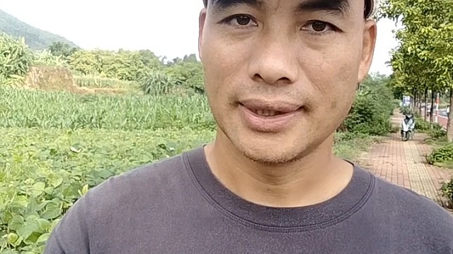 爸懒妈勤毁孩子