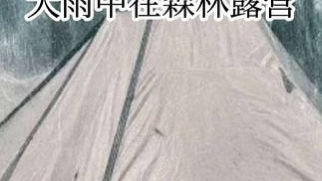 大雨中独自露营——全天体验☔放松的森林声音和舒适的帐篷时光。#雨中露营 #户外帐篷露营 #启发搜索激