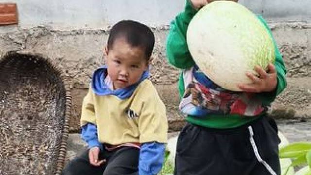 这个瓜挺好的。#农村娃