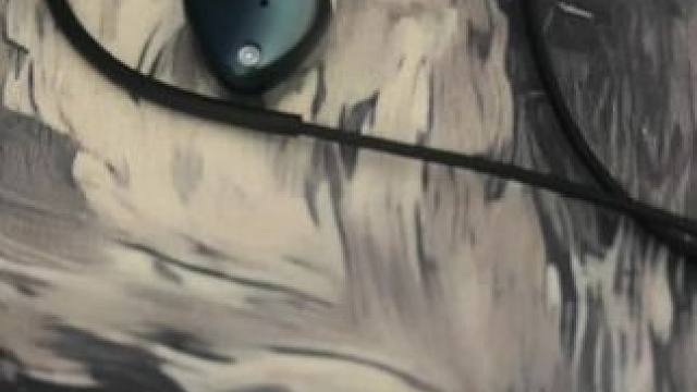 当一个人成了谜 #后会无期 #邓紫棋