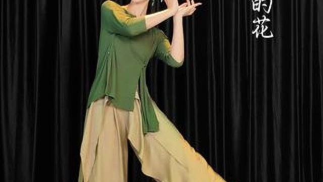 我的心 是簇拥烈日的花 #簇拥烈日的花舞蹈 #舞蹈翻跳 #古典舞 #氛围感
