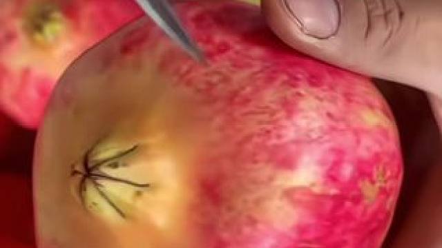 一口爆汁！这颗“红宝石”石榴让你实现徒手吃果自由
剥开瞬间惊艳！籽软汁多甜到心坎里，不吐籽直接嚼，冰