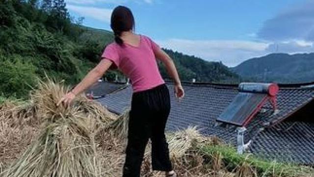 我接起父亲当家的权，却撑不起他撑的天