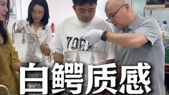 喜马拉雅白的包就这样的价格，姐妹你不心动？ #喜马拉雅白 #女包 #鳄鱼皮 #鳄鱼养殖场