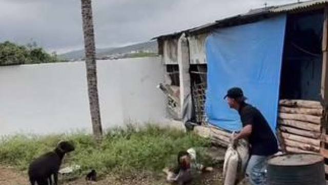 精神小伙被小羊顶飞了 #国外视频分享 #奇妙的动物 #宠物