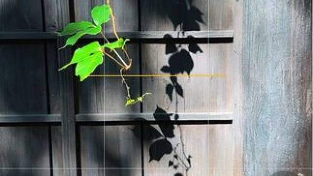 路边不起眼的光影这样拍也太美了吧#手机摄影 #随手一拍 #拍摄技巧 #光影