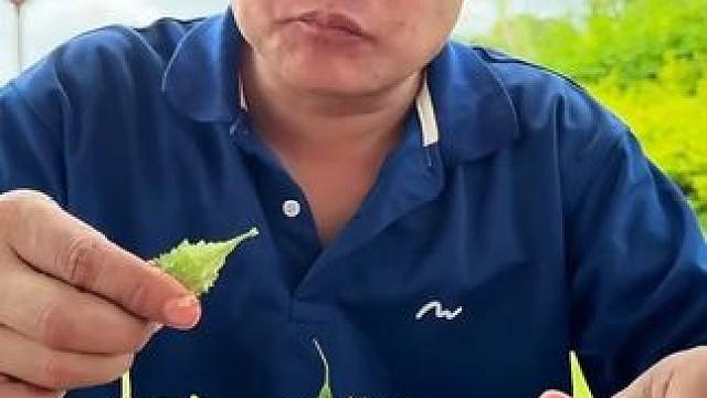 辣拌️青香蕉腌小螃蟹沙拉小苦瓜 #快来一起尝个鲜 #泰国大叔#泰国美食#内容启发搜索 #种草激励计划