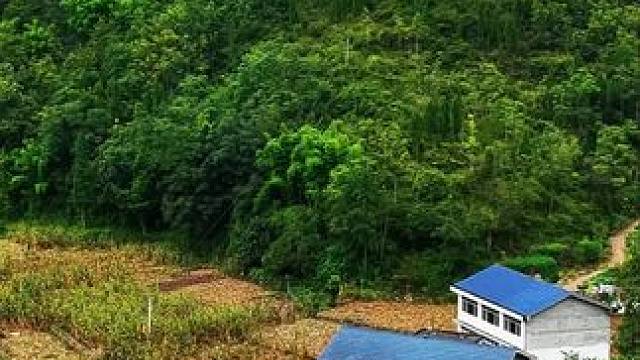 山里乡村的早晨#最美乡村风景 #大山深处的自然风景 #天然氧吧 #秋天#