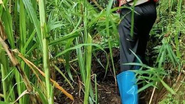 不能吃苦又能如何，我不像别的女孩子一样有颜值有口才，有家庭背景，有可以依靠的肩膀，我只能依靠我自己，