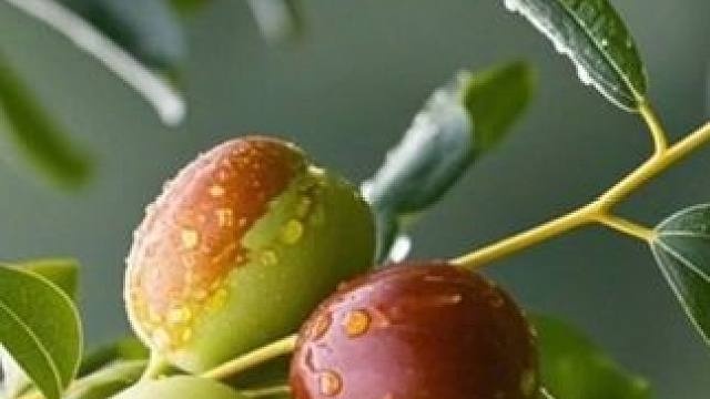 枣红了该回家打枣了 评论区我们互相交换一张你的家乡一张封神照片#每日分享 #治愈系风景 #随拍 #摄