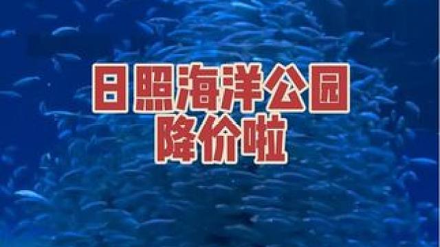 身为日照人，海洋公园你来过几次呢？趁着现在票价便宜，来逛一逛吧！#日照海洋公园 #亲子游玩好去处 #