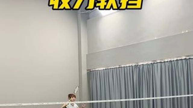 这是一条干货训练分享：双打网前软挡练习#羽毛球#嘉嘉羽毛球
