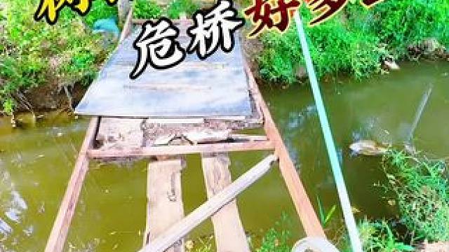 树林草垛来取鱼 #钓鱼#户外钓鱼#老坛甜薯 #聚鱼多#钓鱼人