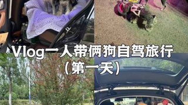 Vlog.287｜一人带俩狗自驾旅行 一个人带俩狗出发第一天：1032公里
8:00出发晚上21:4