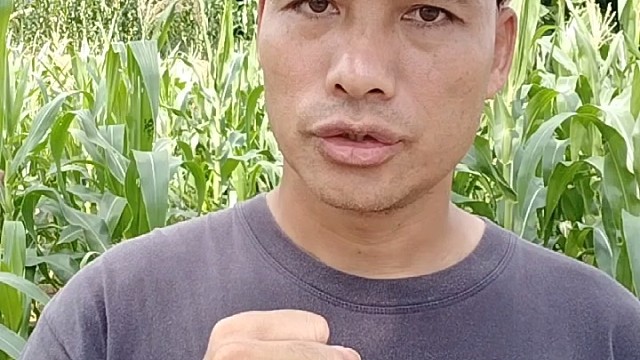 出轨者的道德底线