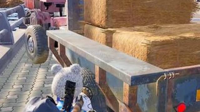 呆萌的蟑螂车全然不知接下来会发生什么 #pubg#一起pubg#绝地求生#绝地求生搞笑时刻#桥霸双旗