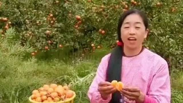 山卡卡里的农村大姐学费了开直播每天收获满满满您还在恐播怕播不敢开播开播了不知说什么吗#记录真实生活 