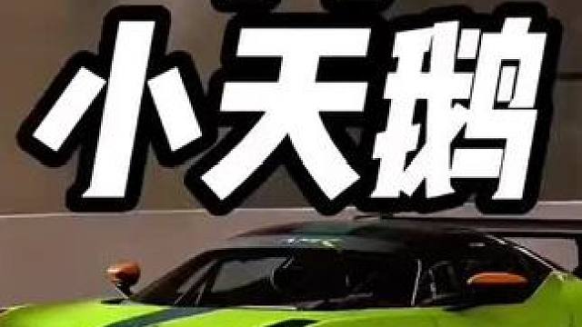 阿斯顿马丁小天鹅价值多少钱？#阿斯顿马丁小天鹅多少钱