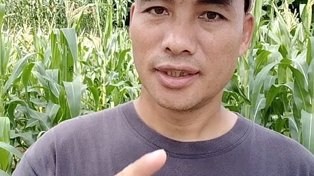 不安分男人的基因真相