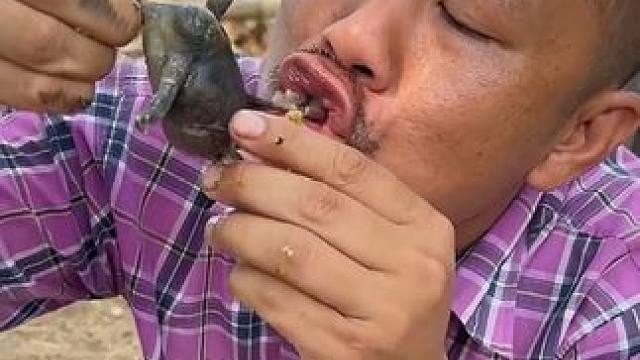 咖喱煮满籽蛋蛋蛙 #美食 #泰国美食 #户外美食 #内容启发搜索